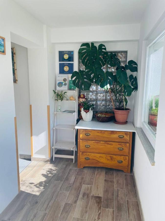 Apartma Pavla Spodnje Gorje Eksteriør bilde